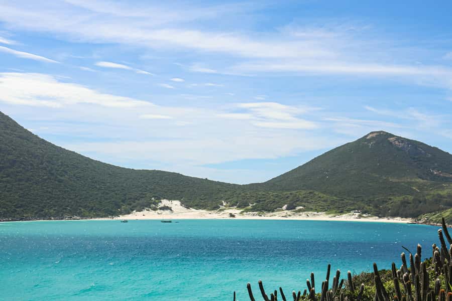 Rio: Best Dive Experience All Inclusive Scuba Diving Package - What you’ll see: turtles, rays, tropical fish, and the visibility reality check