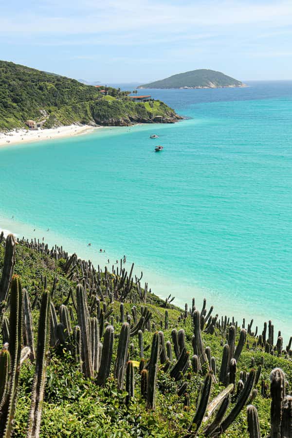Rio: Best Dive Experience All Inclusive Scuba Diving Package - Who should book this scuba day trip—and who should skip it
