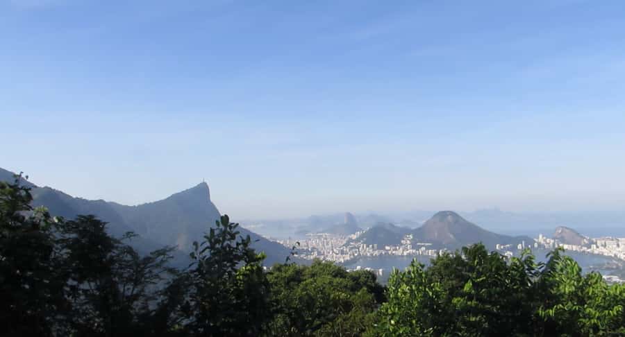 Rio: Botanical Garden, Tijuca Forest, and Parque Lage Tour - Rio de Janeiro Botanical Garden: plants you can actually learn something from