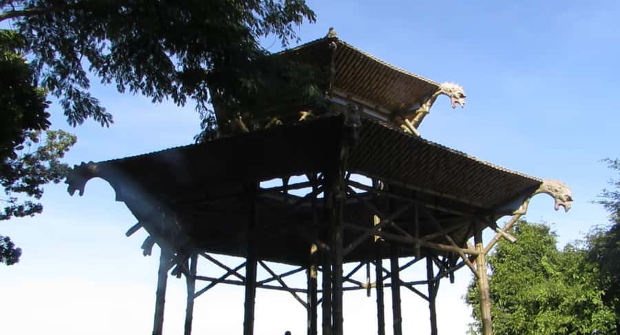 Rio: Botanical Garden, Tijuca Forest, and Parque Lage Tour - Price and value: what $104 per person is really covering