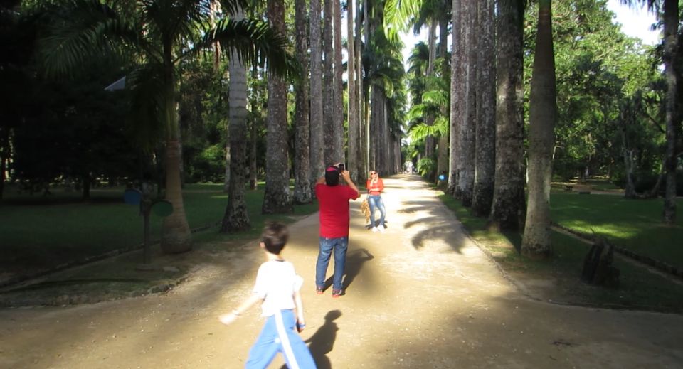 Rio: Botanical Garden, Tijuca Forest, and Parque Lage Tour - Pickup and moving around Rio without wasting your day
