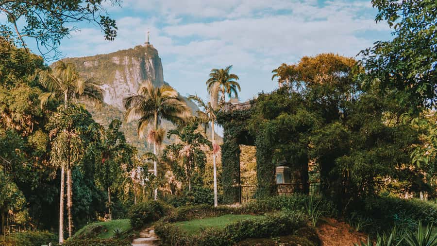 Rio de Janeiro: 4-Hour Botanical Garden & Tijuca Forest Tour - Vista Chinesa at 388 Meters: Panoramas That Depend on the Day