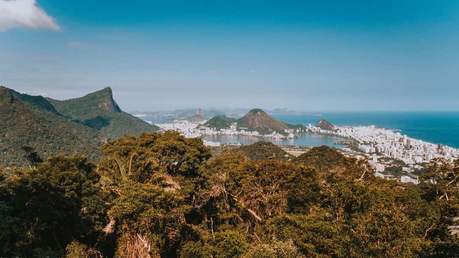 Rio de Janeiro: 4-Hour Botanical Garden & Tijuca Forest Tour - São Conrado Beach Pass-By: Hang Gliders Over the Water