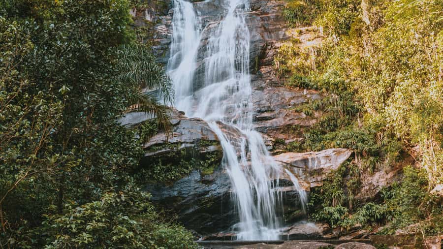 Rio de Janeiro: 4-Hour Botanical Garden & Tijuca Forest Tour - How to Choose the Right Day for the Best Views