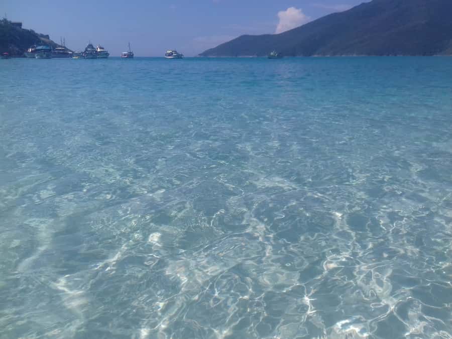 Rio de Janeiro: Arraial do Cabo Scuba Diving Day Trip - Price and value: does $255 make sense for your type of trip?