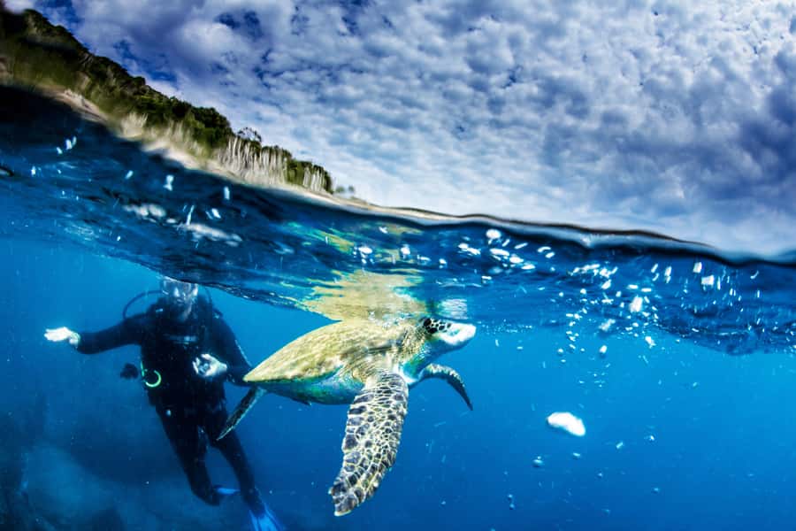 Rio de Janeiro: Arraial do Cabo Scuba Diving Day Trip - Weather and the Plan B: when the coast says no