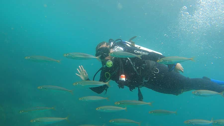 Rio de Janeiro: Arraial do Cabo Scuba Diving Day Trip - Who should book this trip (and who should skip it)
