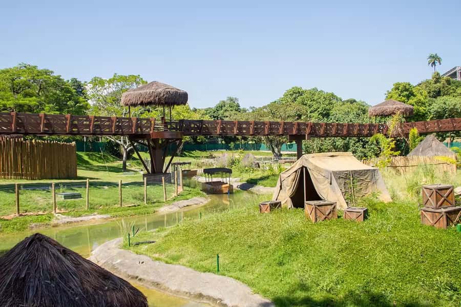 Rio de Janeiro: BioParque Guided Tour with Transfer - What BioParque Really Is (and why it feels different)