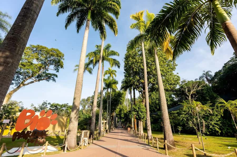 Rio de Janeiro: BioParque Guided Tour with Transfer - Price and logistics: how the $58 ticket adds up