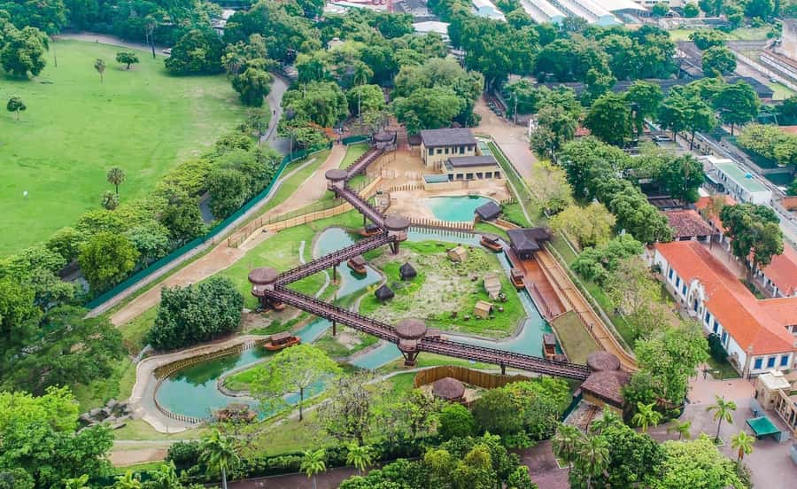 Rio de Janeiro: BioParque Guided Tour with Transfer - What to bring and simple prep tips that actually help
