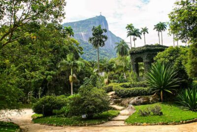 Rio de Janeiro: Botanical Garden Guided Visit - From 1808 to 6,000 Plant Species: Why This Garden Works as a Guided Tour