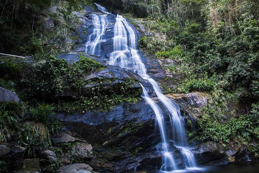 Rio de Janeiro: Botanical Garden & Tijuca Forest Guided Tour - Tijuca Forest by convertible jeep: what you’re really paying for