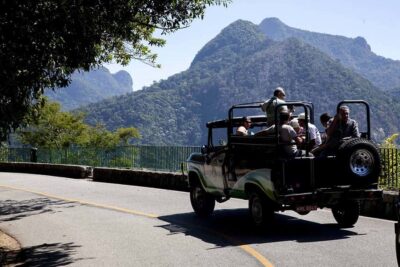 Rio de Janeiro: Botanical Garden & Tijuca Forest Guided Tour - Botanical Garden guided walk: imperial palms and the orchidarium