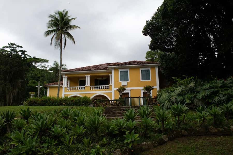Rio de Janeiro: Botanical Garden & Tijuca Forest Guided Tour - Price and value: what $85 covers, and what you must add