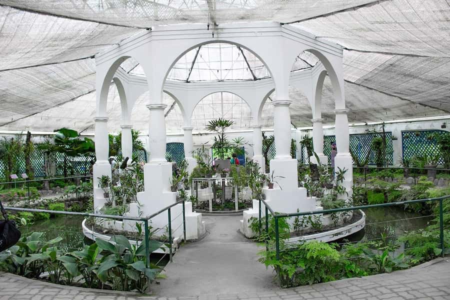 Rio de Janeiro: Botanical Garden & Tijuca Forest Guided Tour - Accessibility and comfort notes that affect real travel days