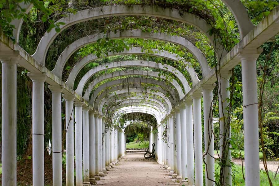 Rio de Janeiro: Botanical Garden & Tijuca Forest Guided Tour - Who this tour suits best