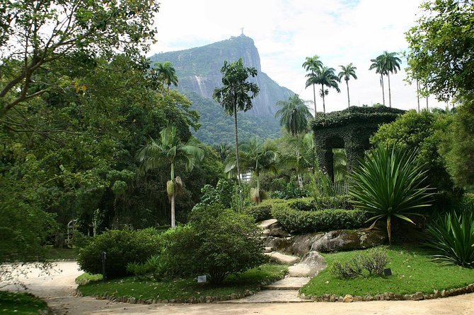Rio de Janeiro Botanical Garden Tour - Rio’s Botanical Garden: A Welcome Detour from Main Streets