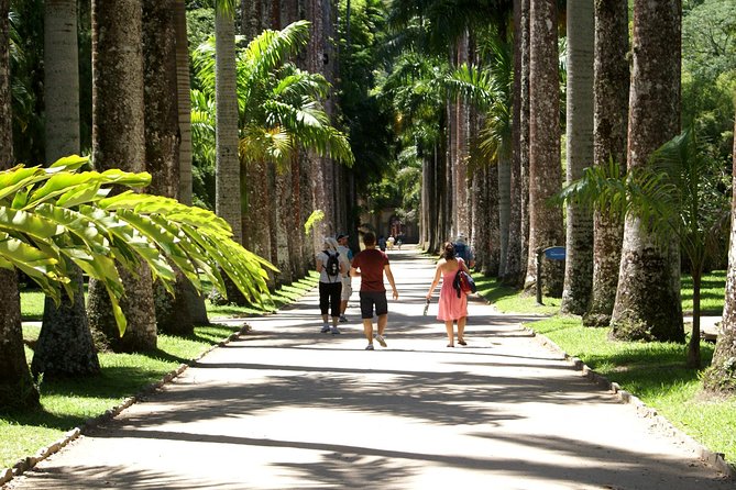 Rio de Janeiro Botanical Garden Tour - Free Time Inside the Garden: Use It Smart