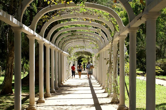 Rio de Janeiro Botanical Garden Tour - Getting There Smoothly From Your Rio Hotel