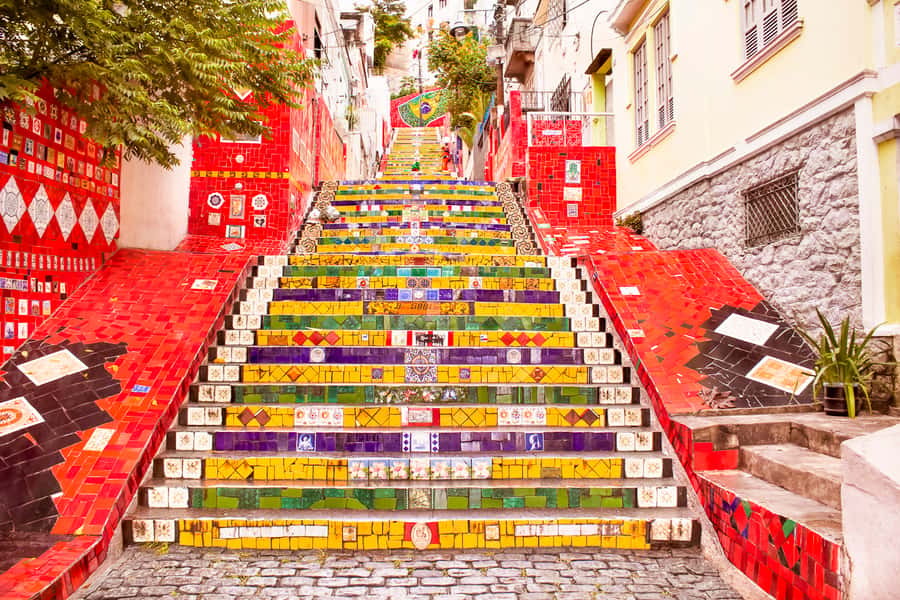Rio de Janeiro: Christ, Selaron Steps, and Tijuca Park Tour - A 7-Hour Rio Plan That Feels Like a Best-Of, Not a Checklist