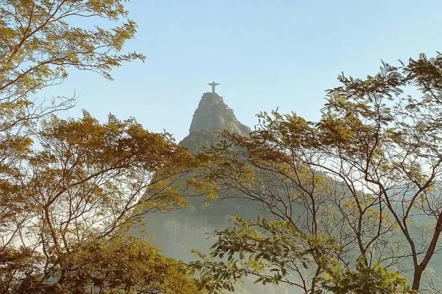 Rio de Janeiro: Christ the Redeemer Guided Hike - The descent and the finish through the park