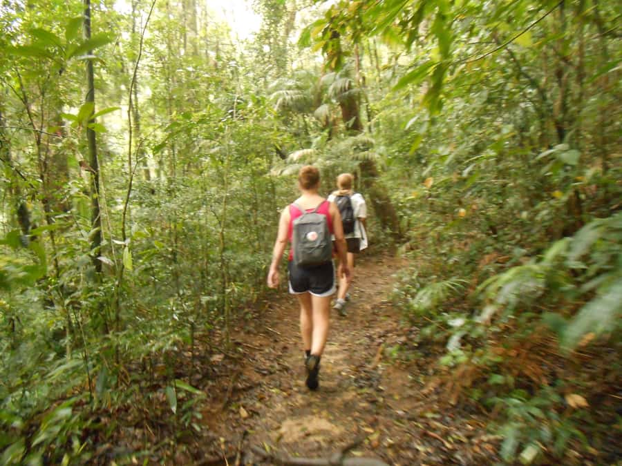 Rio de Janeiro: Christ the Redeemer Guided Hike - What to bring (and what to skip)