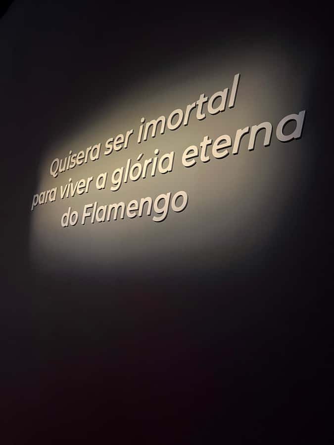 Rio de Janeiro: Flamengo Museum Ticket Entrance - Why This Museum Is Worth Your Rio Time