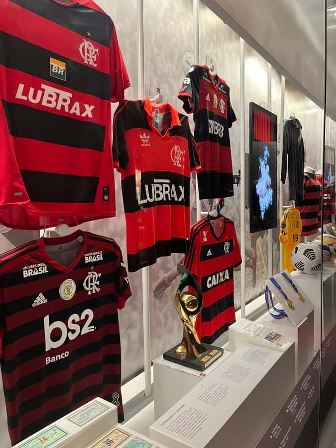 Rio de Janeiro: Flamengo Museum Ticket Entrance - The 14 Themed Sections: Tech, Interactivity, and Emotion