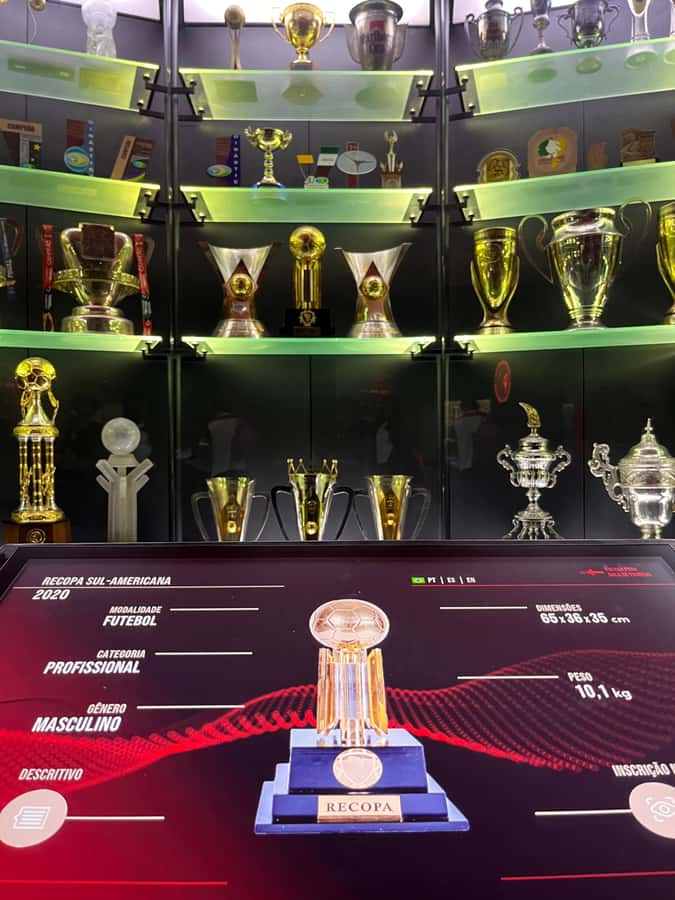 Rio de Janeiro: Flamengo Museum Ticket Entrance - Digital Guide in Multiple Languages: The Easiest Upgrade