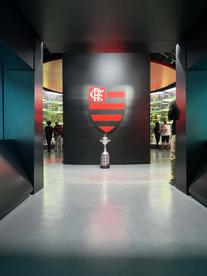 Rio de Janeiro: Flamengo Museum Ticket Entrance - Entering The Clube de Regatas do Flamengo Museum Proper