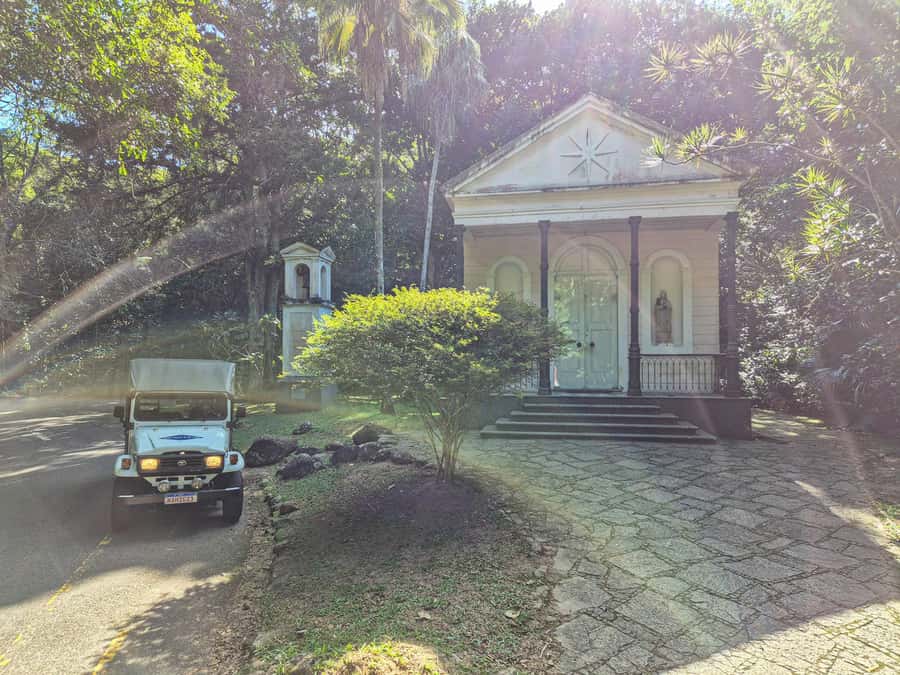 Rio de Janeiro: Guided Jeep Tour through Tijuca Rainforest - Tijuca National Park from a jeep seat: the big idea