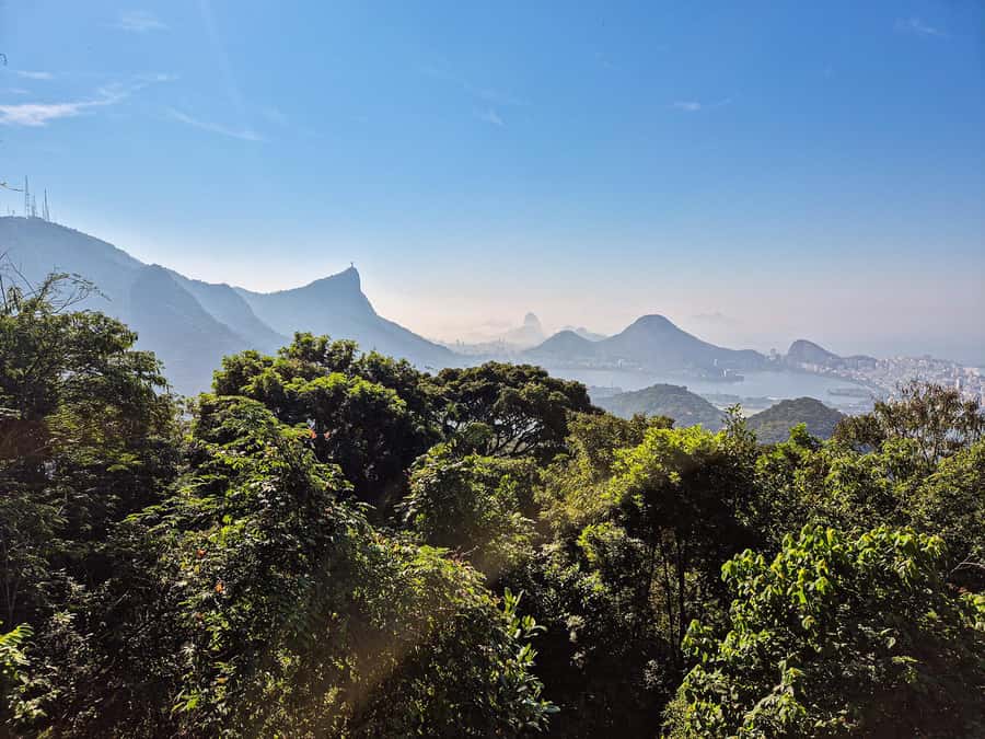 Rio de Janeiro: Guided Jeep Tour through Tijuca Rainforest - Waterfalls and chapels: Capela Mayrink and Cascatinha Taunay