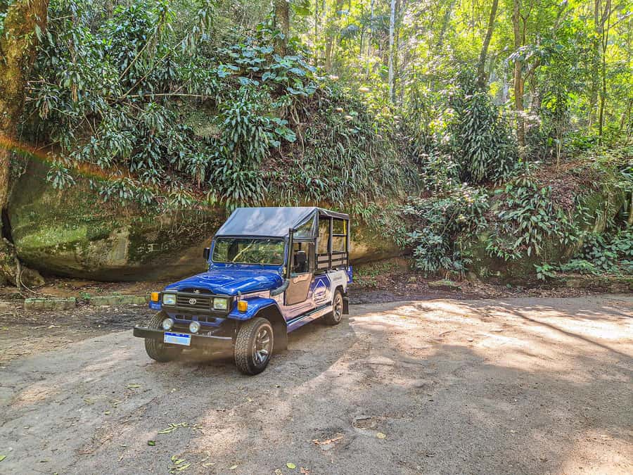 Rio de Janeiro: Guided Jeep Tour through Tijuca Rainforest - The one-hour hike: how you get direct interaction with the forest