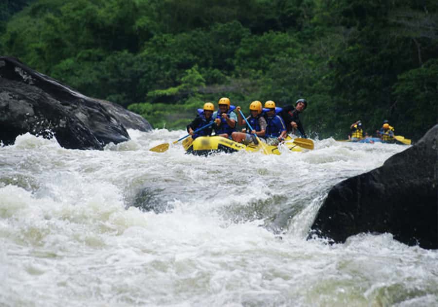 Rio de Janeiro: Guided River Rafting Tour - Where you finish: the triple-delta meeting of three rivers