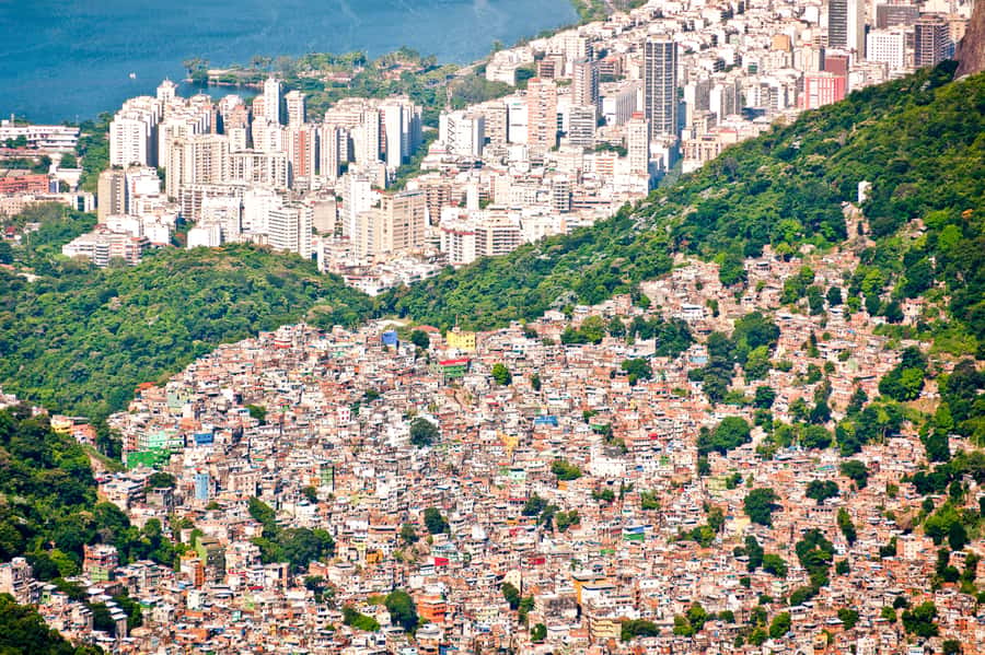 Rio De Janeiro: Half-Day Rocinha Favela Walking Tour - Key Things That Make This Tour Worth It