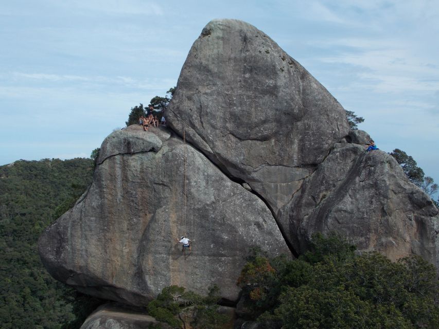 Rio de Janeiro: Hiking and Rappelling at Tijuca Forest - Who this is best for (and who should skip it)