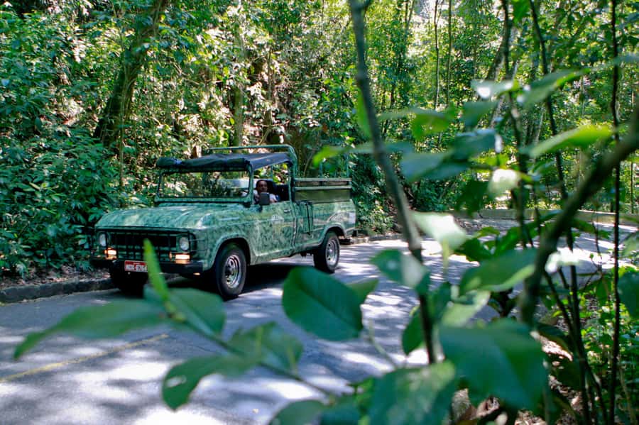 Rio de Janeiro: Jeep Tour in the Tijuca Forest - Key Things That Make This Jeep Tour Work