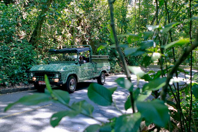 Rio de Janeiro Jeep Tour : Tijuca Forest - Convertible Jeep Ride: Comfort, Safety, and What You’ll Actually Do
