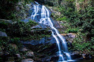 Rio de Janeiro Jeep Tour : Tijuca Forest - Parque Nacional da Tijuca: The Main Stage In The National Park