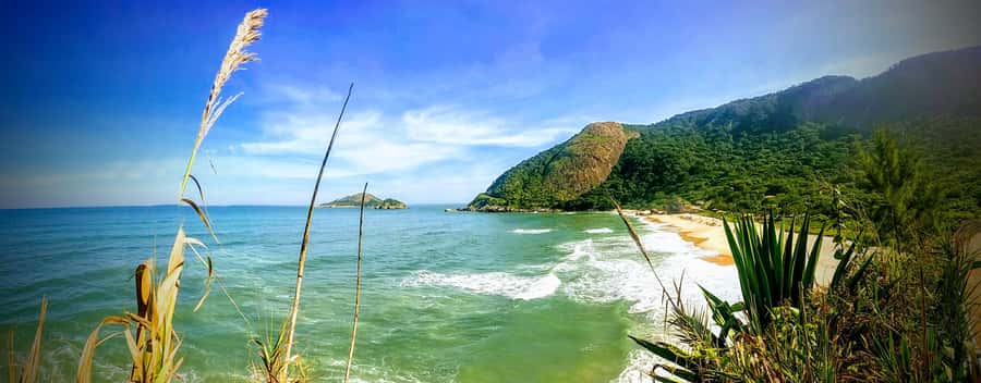 Rio de Janeiro Nature Secrets 'The Eco Citytour' - Key Things That Make This Tour Worth Your Time