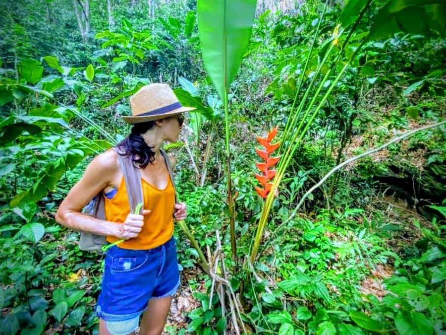 Rio de Janeiro Nature Secrets 'The Eco Citytour' - Price and Value: Is $69 a Good Deal for This Route?