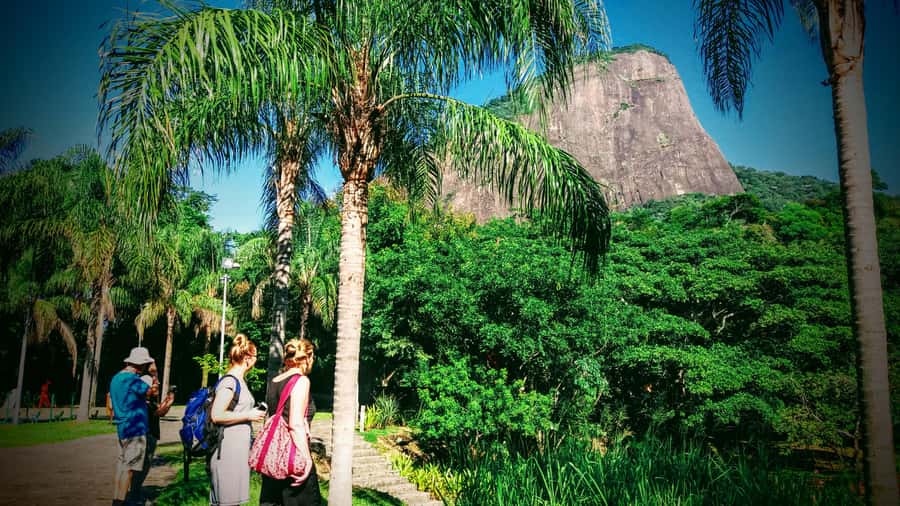 Rio de Janeiro Nature Secrets 'The Eco Citytour' - Starting at Dois Irmãos Park: Leblon and Ipanema From Above