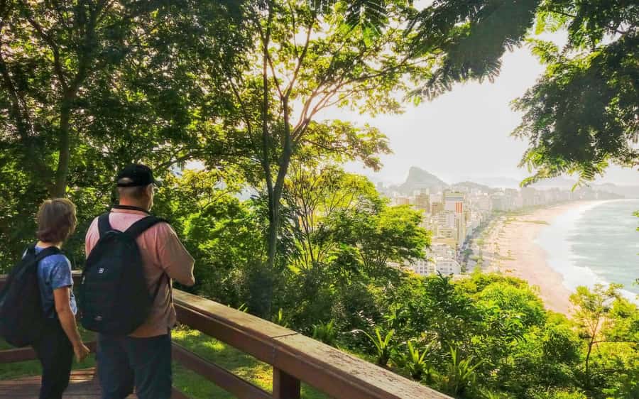 Rio de Janeiro Nature Secrets 'The Eco Citytour' - The Tijuca Forest Cluster: Chinese View, Taunay Waterfall, Canoas Summit