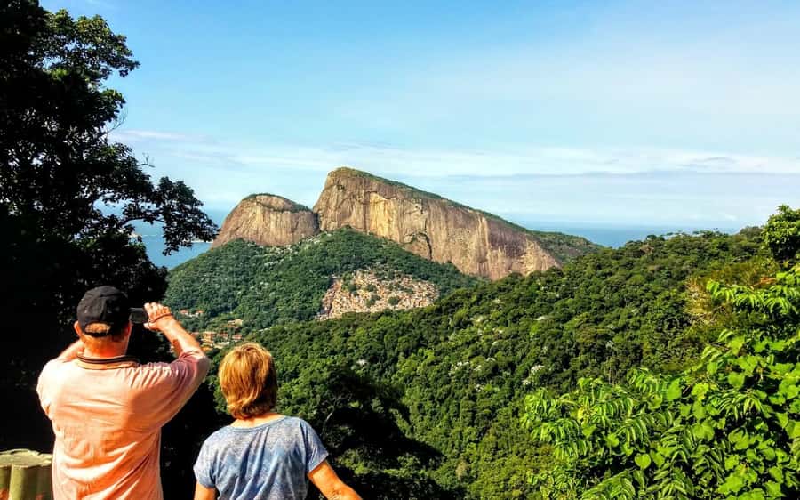 Rio de Janeiro Nature Secrets 'The Eco Citytour' - Marapendi Park Mangroves and Lagoons: Where Caimans and Capybaras Are a Possibility