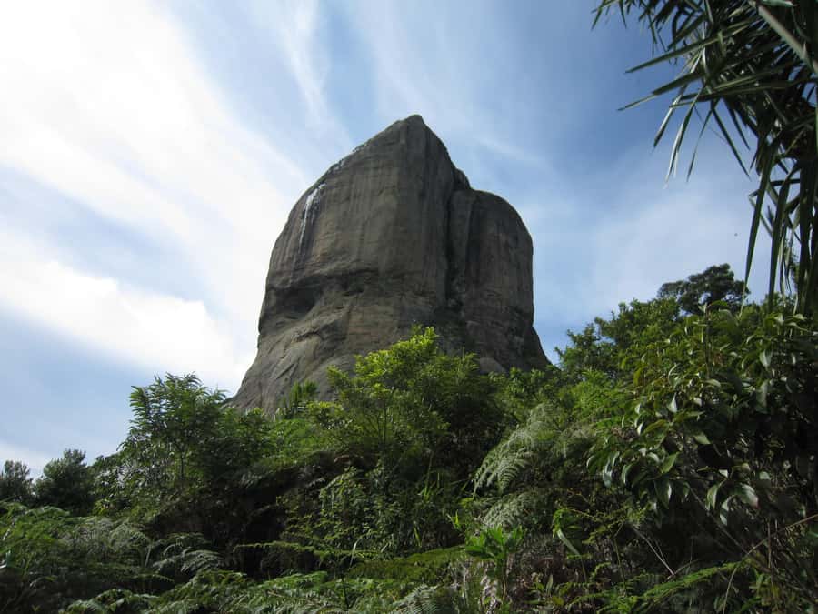 Rio de Janeiro: Pedra da Gavea Adventure Hike - Guide experience: patient support and a photographer mindset