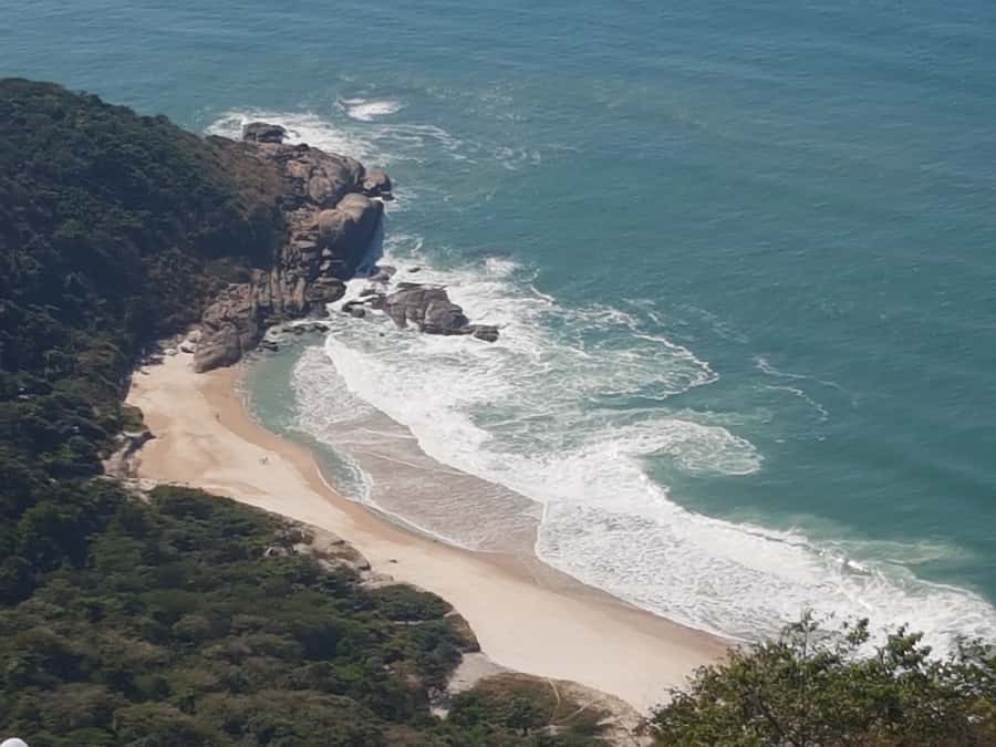 Rio de Janeiro: Pedra do Telegrafo Hike & Grumari Beach Tour - Price and Value: Is $96 a Good Deal?