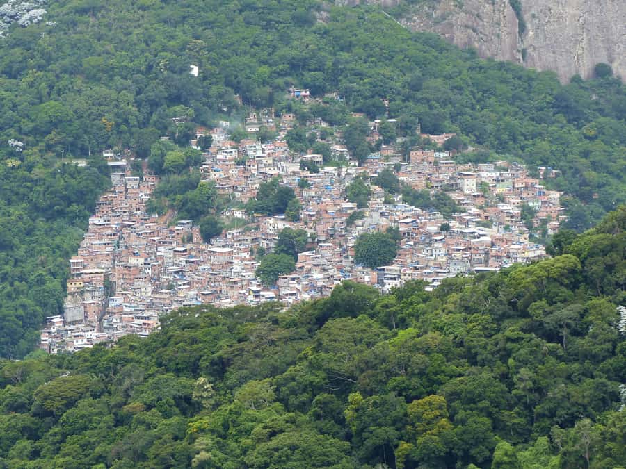 Rio de Janeiro: Private Day Tour with lunch - Christ the Redeemer by rack train: a 3-hour viewpoint with skip-the-line access