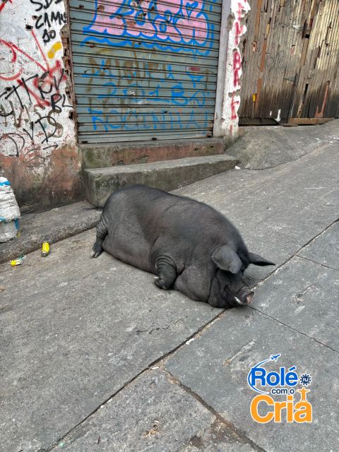 Rio de Janeiro: Rocinha Favela guided tour - Meeting Point and Getting Ready in the Right Footwear
