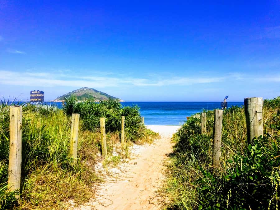 Rio de Janeiro Secluded Beaches: Hike+Swim Prainha & Grumari - Roncador Viewpoint and the Animal-Return Moment