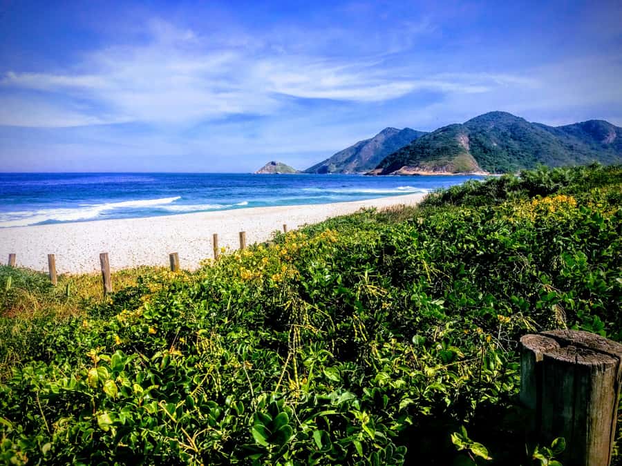 Rio de Janeiro Secluded Beaches: Hike+Swim Prainha & Grumari - Parque Natural da Prainha: The Easy Hike That Isn’t a Walk in the Park